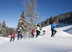 Schneeschuhwandern Gruppe (c) Ferienland Kufstein